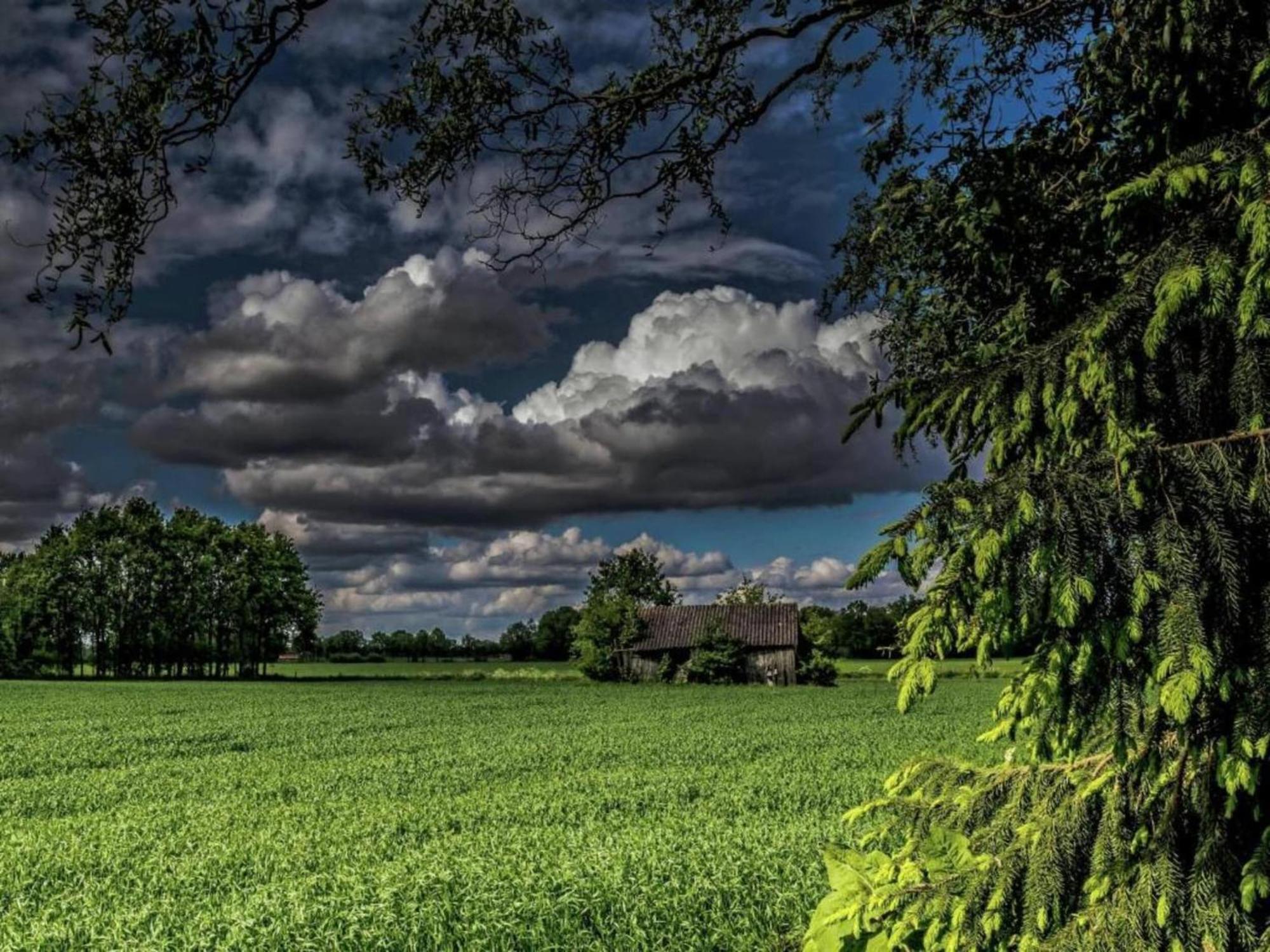 Staying In A Thatched Barn With Box Bed Beautiful View Region Achterhoek Geesteren  Extérieur photo